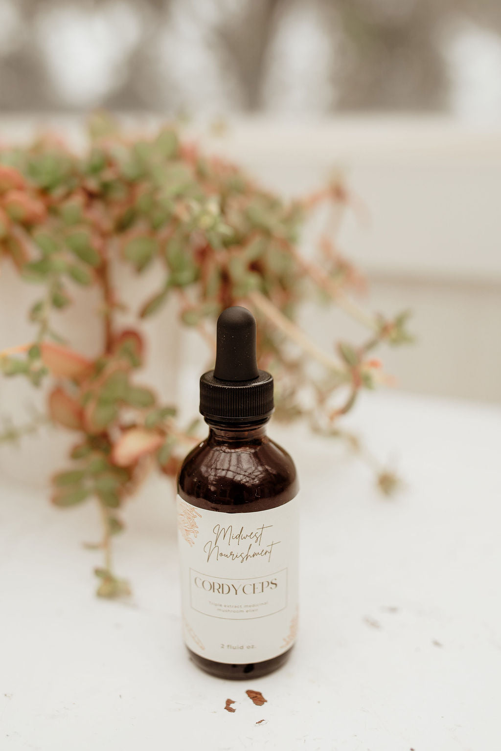 Cordyceps elixir