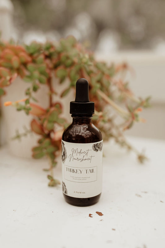 Turkey Tail Elixir